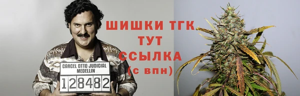 дживик Аркадак