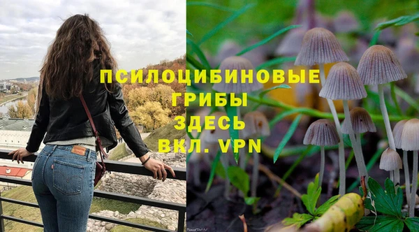 герыч Арсеньев