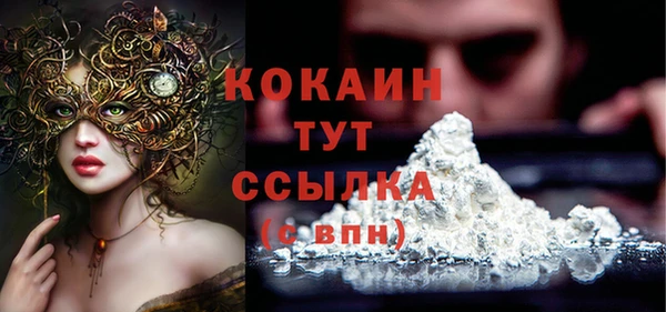 дживик Аркадак