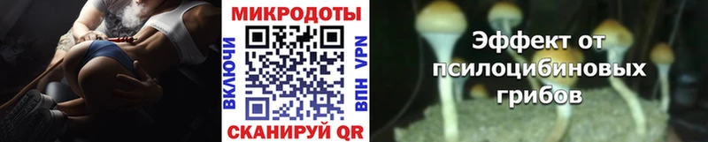 Псилоцибиновые грибы Psilocybine cubensis Армянск